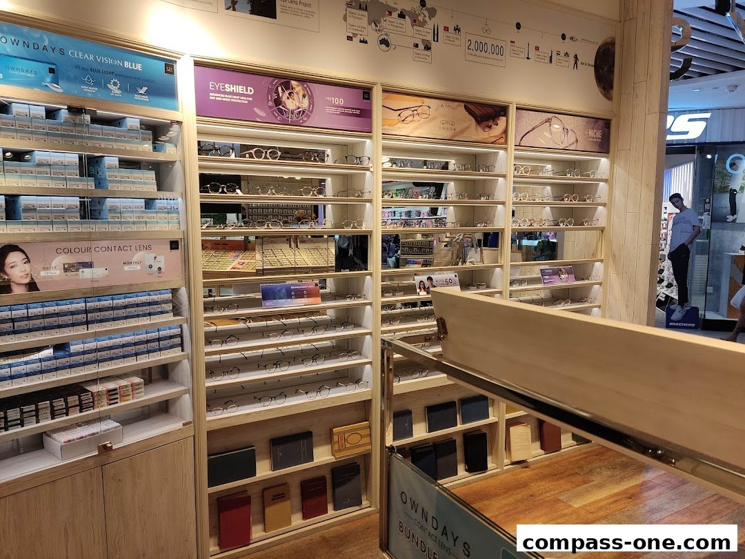 Interior view of an optical shop displaying various eyewear and contact lenses.