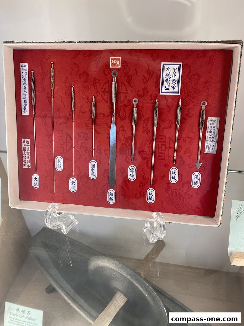 A display of traditional Chinese medicine acupuncture needles and a herb grindstone.
