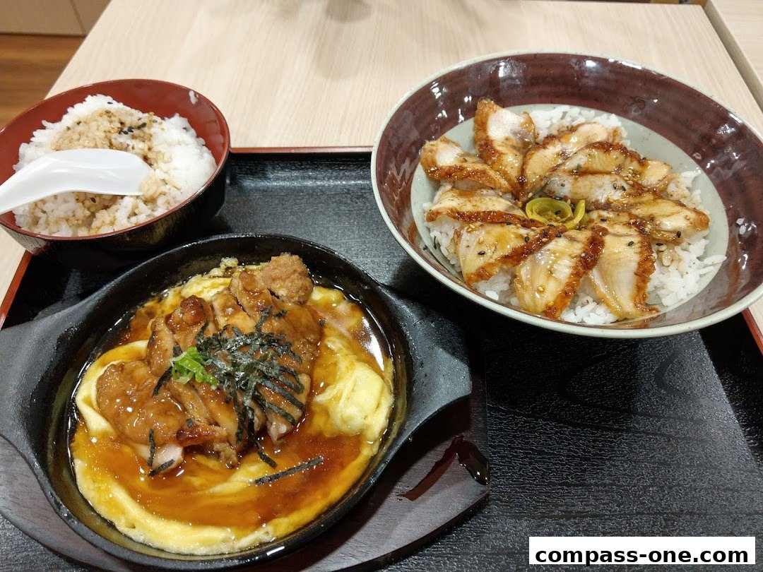 Two delicious Japanese rice bowls with grilled eel and chicken teriyaki.