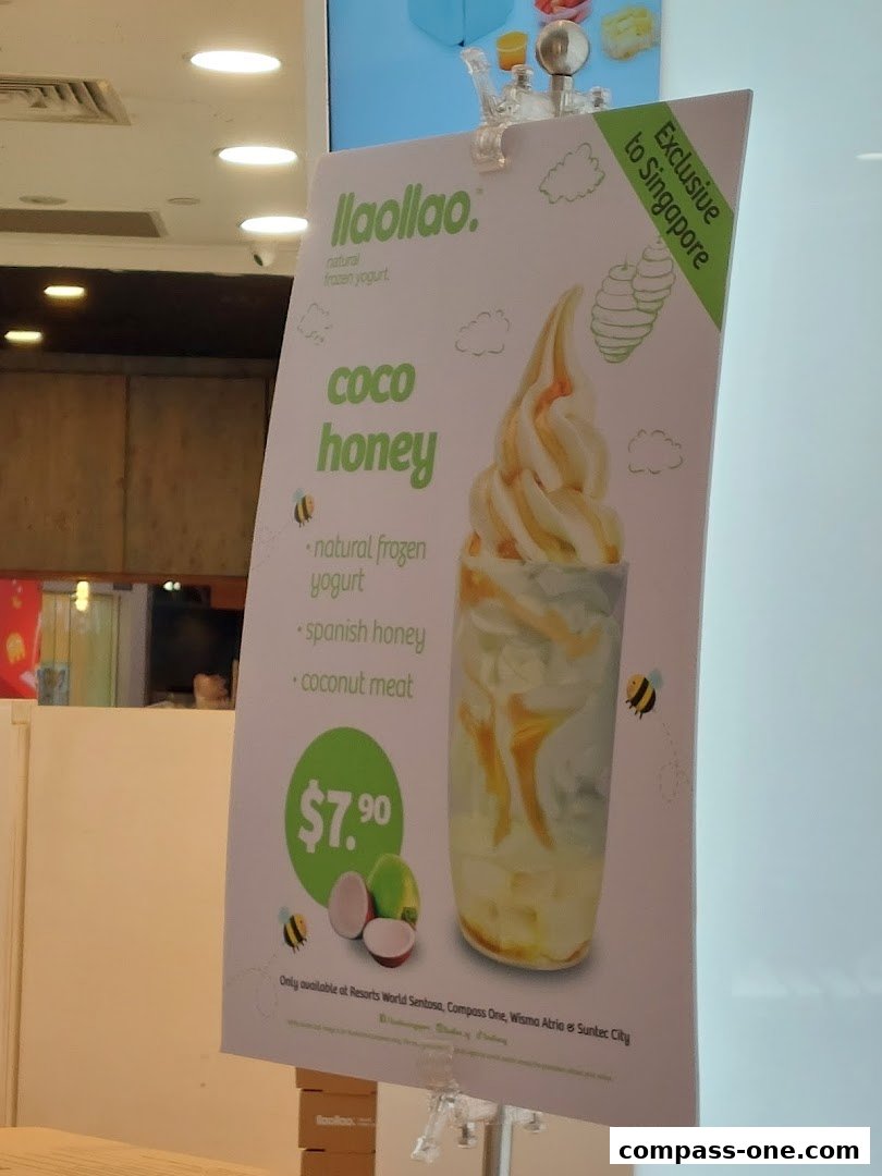 llaollao image 4