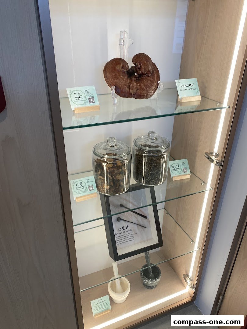 A display cabinet showcasing traditional Chinese medicine ingredients and tools.