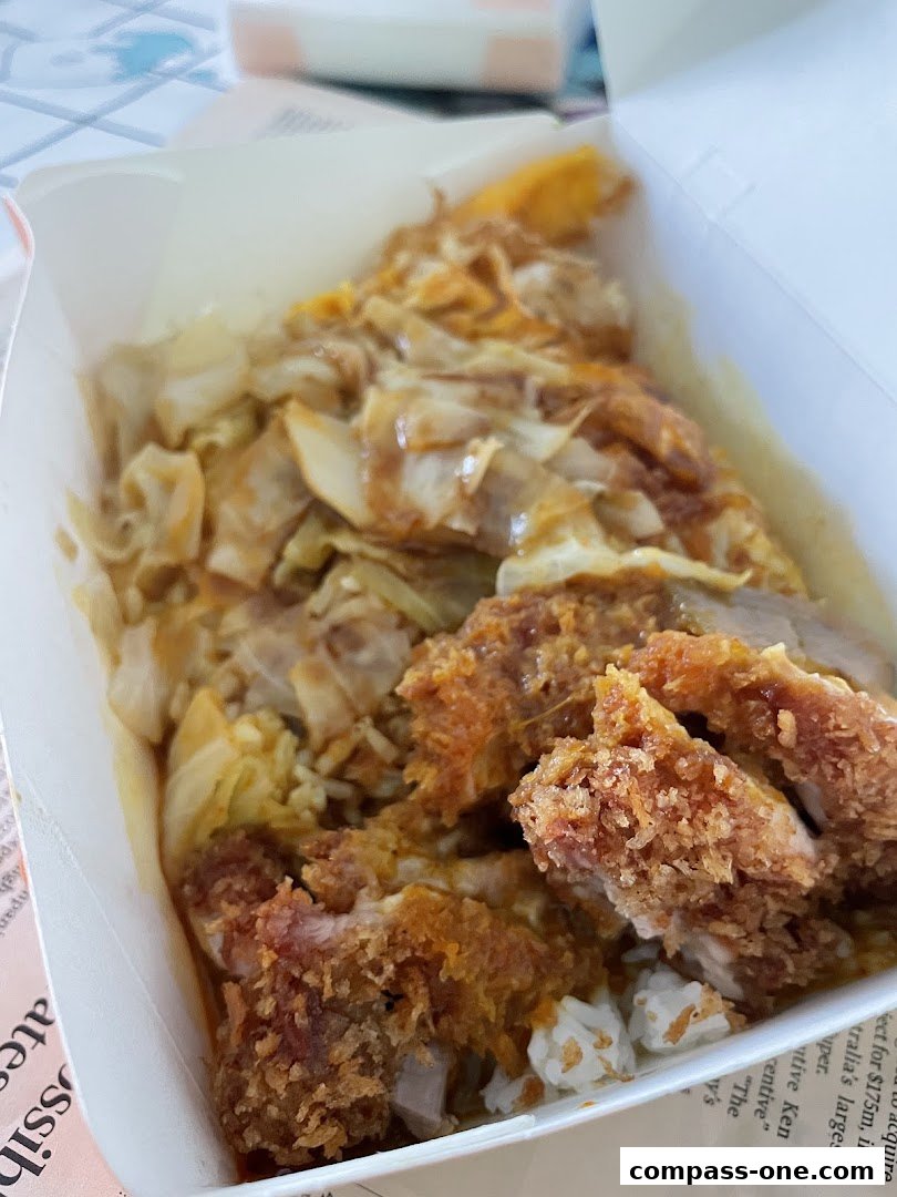 A close-up of a takeaway food box filled with rice, fried chicken, and cabbage.