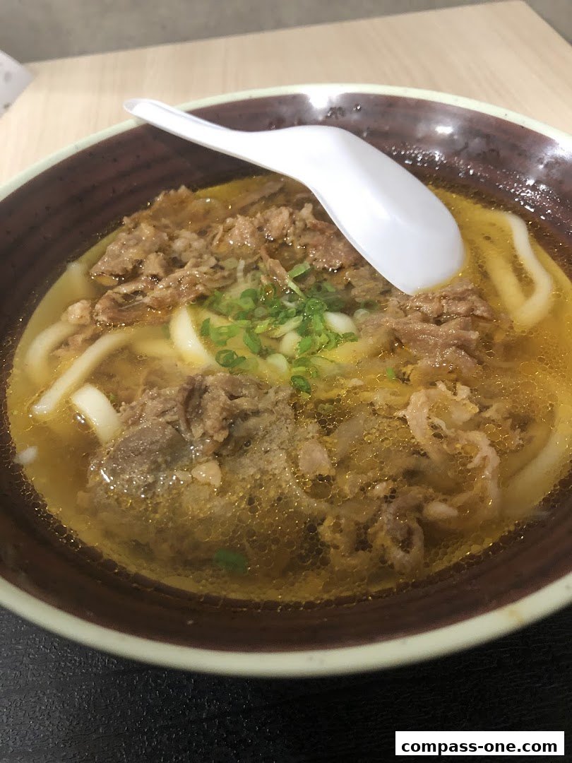 A bowl of udon noodles with beef and broth, topped with green onions.