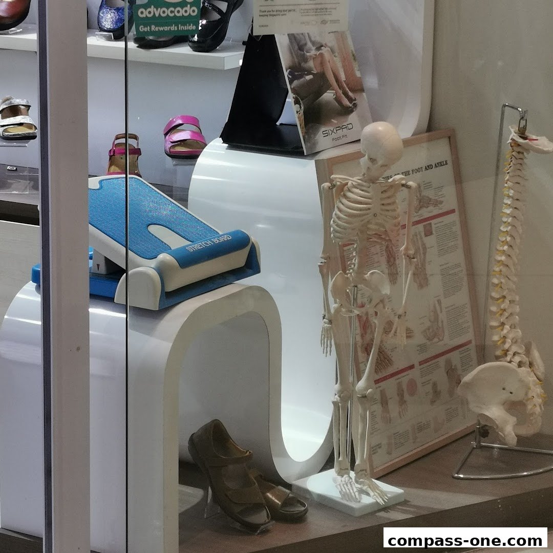 A shop window display featuring a skeleton model, stretch board, and footwear.