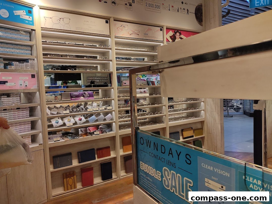Interior view of an optical shop showcasing shelves filled with eyeglasses and contact lens displays.