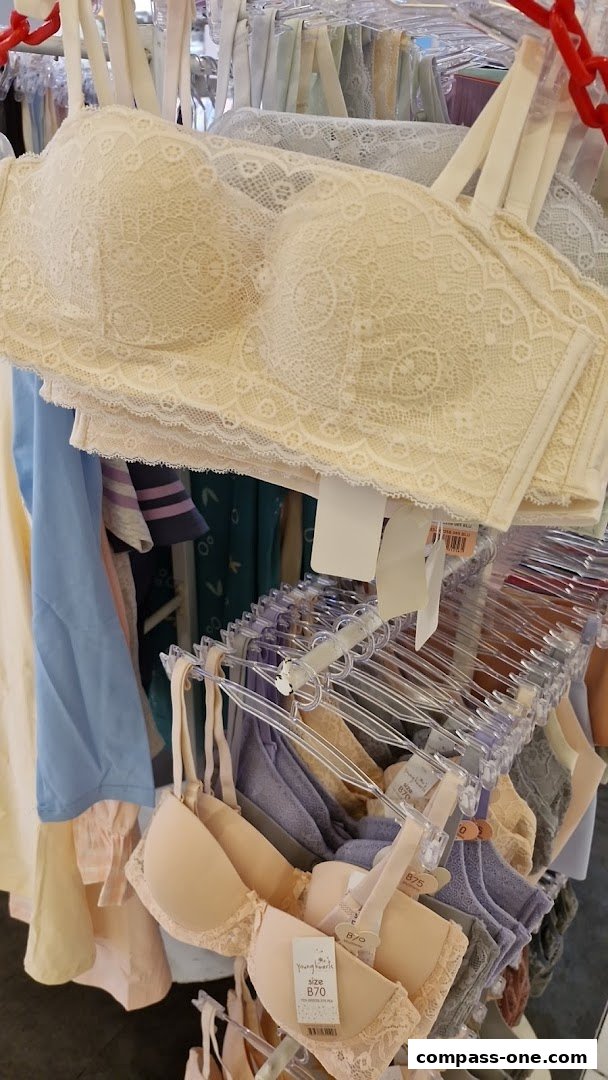 A display of various bras, featuring lace detailing and different colors, on hangers in a retail store.