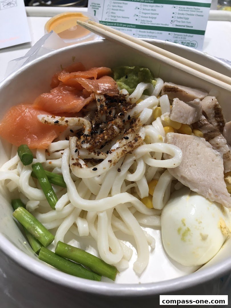 A close-up of a bowl of udon noodles with salmon, chicken, egg, and vegetables.