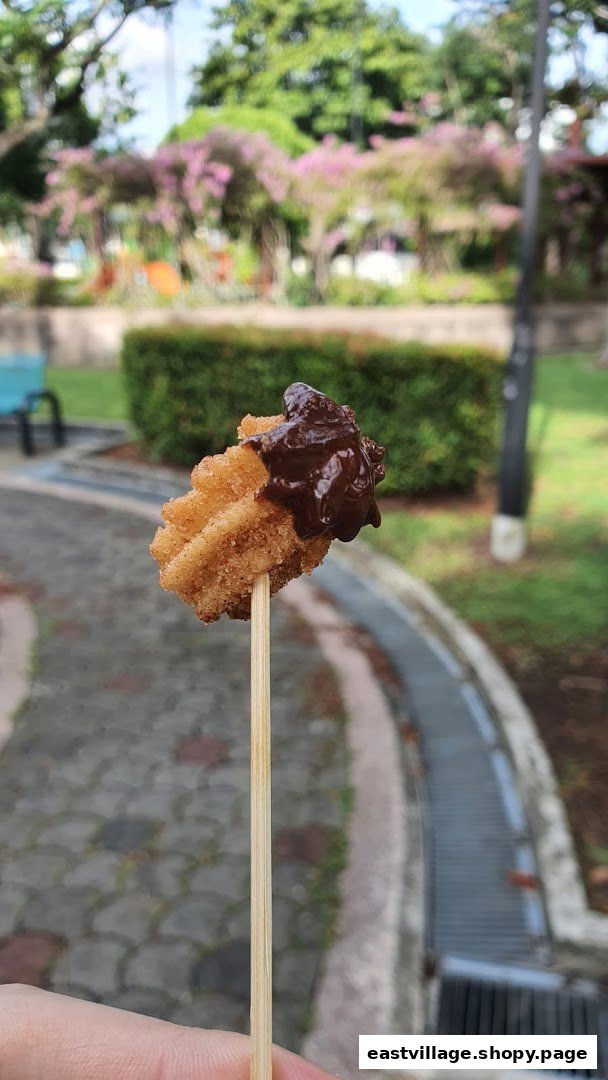 A single churro on a stick, topped with rich chocolate sauce, held outdoors.