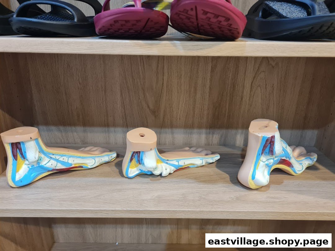 Anatomical foot models and specialized footwear displayed on wooden shelves, highlighting foot health solutions.