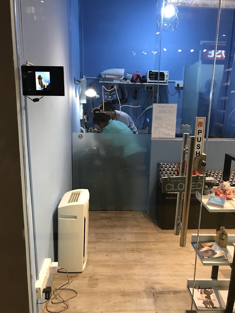 Shop front of Hans Qitty Cut, a cat grooming salon, with staff attending to a cat inside.