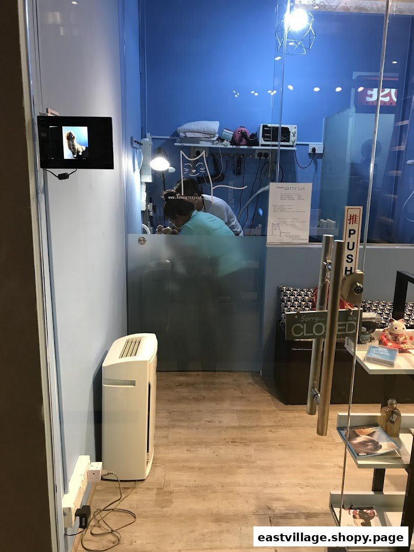 Shop front of Hans Qitty Cut, a cat grooming salon, with staff attending to a cat inside.