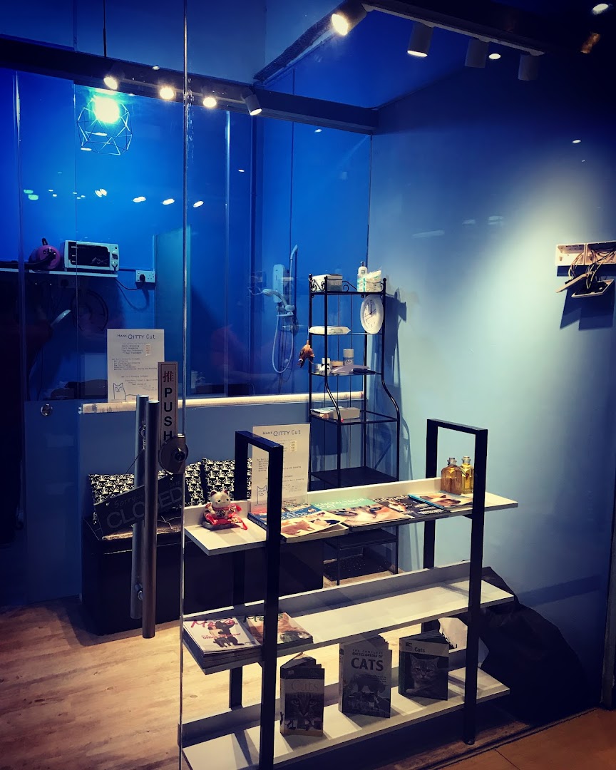 View into Hans Qitty Cut, a pet grooming shop with cat-themed decor and grooming equipment.