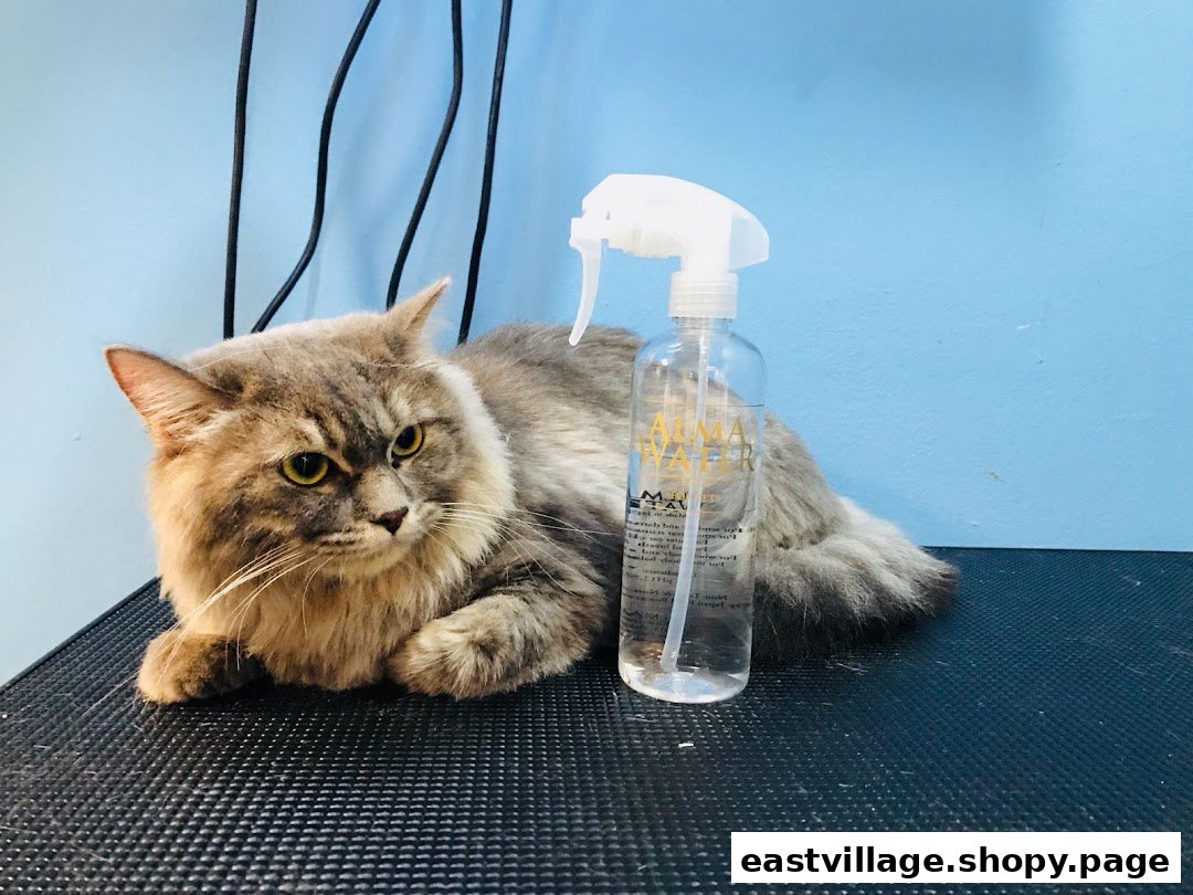 A fluffy cat rests on a grooming table next to a spray bottle, likely at a pet salon.