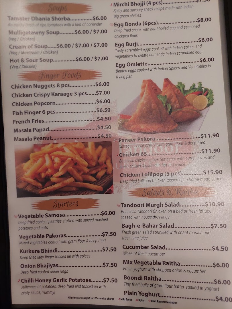 A detailed menu displaying a variety of Indian soups, finger foods, starters, salads, and other dishes.