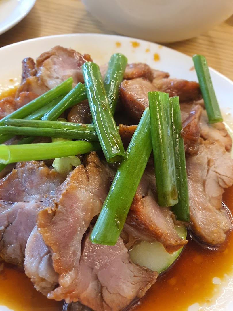 Close-up of succulent sliced meat with green onions and savory sauce on a white plate.