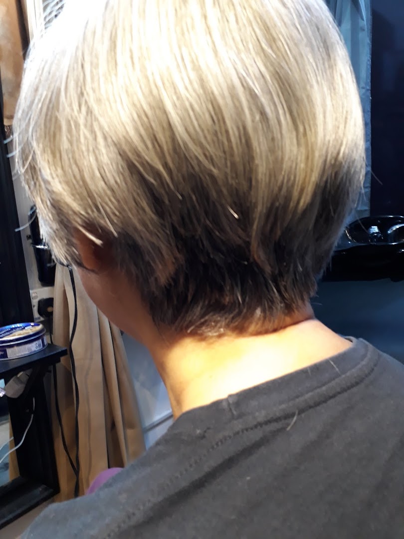 Close-up of a client's freshly styled short hair from behind at Niki Beauty Wellness Salon.