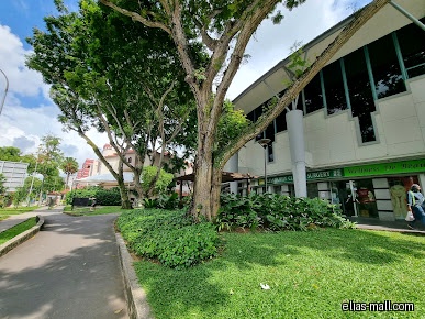Elias Family Clinic & Surgery storefront with greenery and a sidewalk.