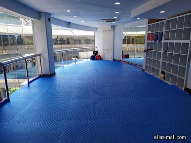 The image shows the interior of a Taekwondo studio with blue mats.