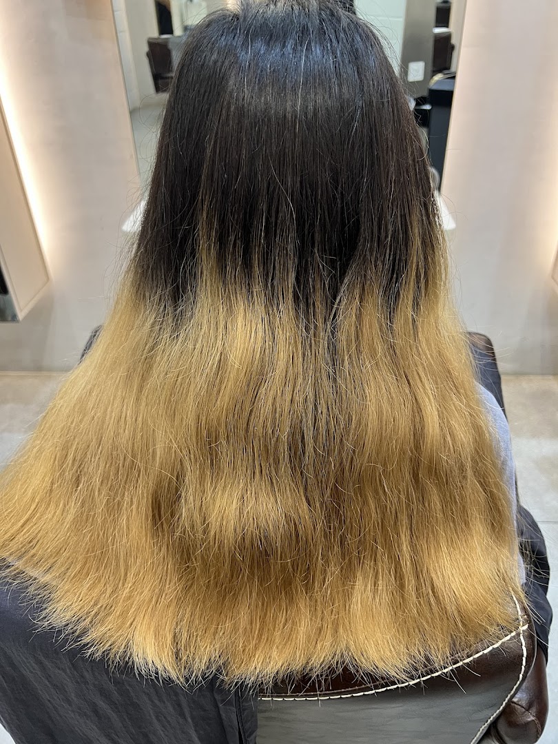 A person's hair showing dark roots and light blonde ends, likely before a hair treatment.