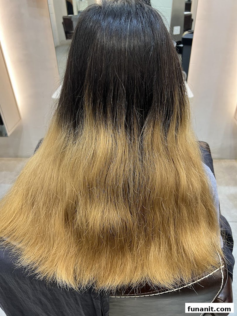 A person's hair showing dark roots and light blonde ends, likely before a hair treatment.