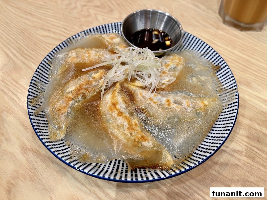 A plate of crispy-skirt gyoza with a dipping sauce and shredded scallions on a patterned plate.