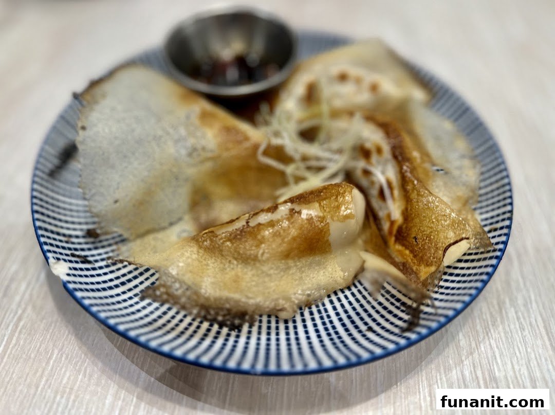 A close-up of pan-fried dumplings or gyoza served on a patterned plate with a dipping sauce.