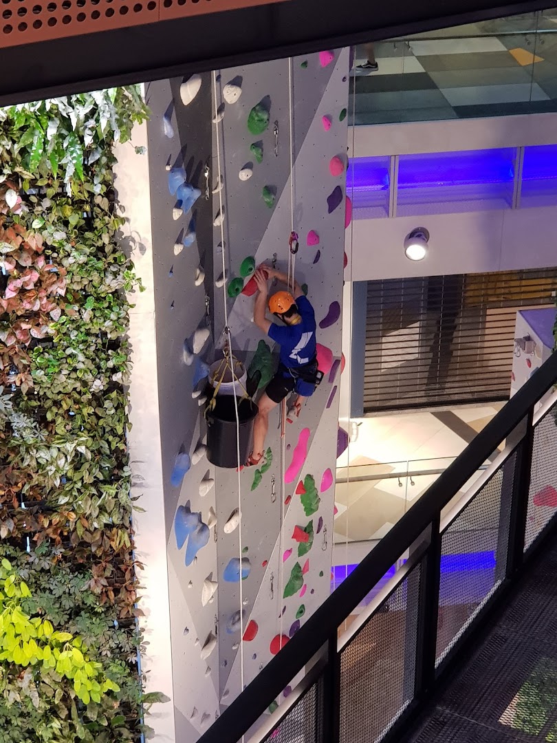 A person in a helmet and harness rock climbing on a colorful indoor wall next to a vertical garden.