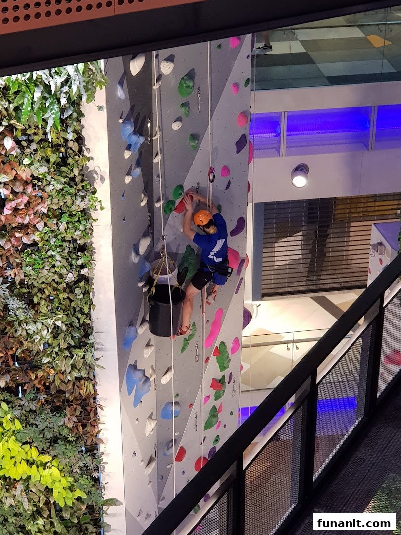 A person in a helmet and harness rock climbing on a colorful indoor wall next to a vertical garden.