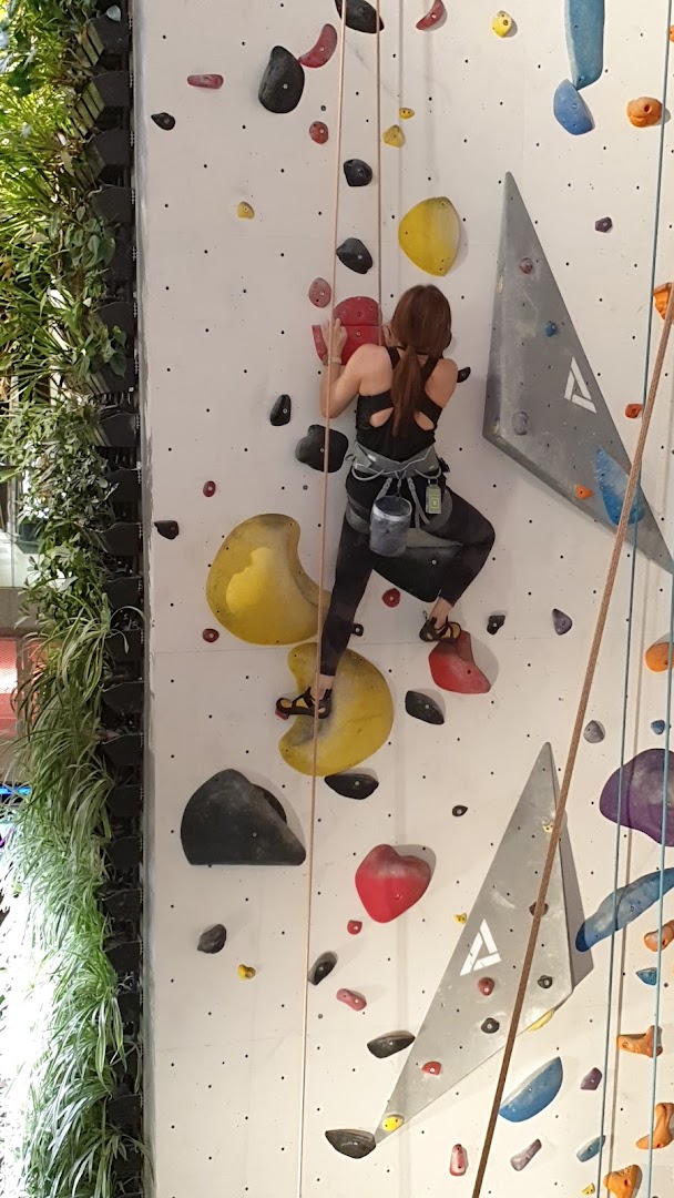 A person actively rock climbing on a colorful indoor climbing wall with a green plant wall nearby.