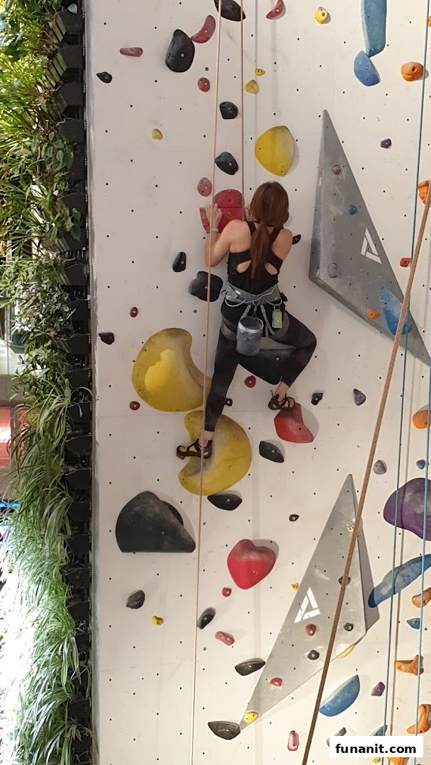 A person actively rock climbing on a colorful indoor climbing wall with a green plant wall nearby.
