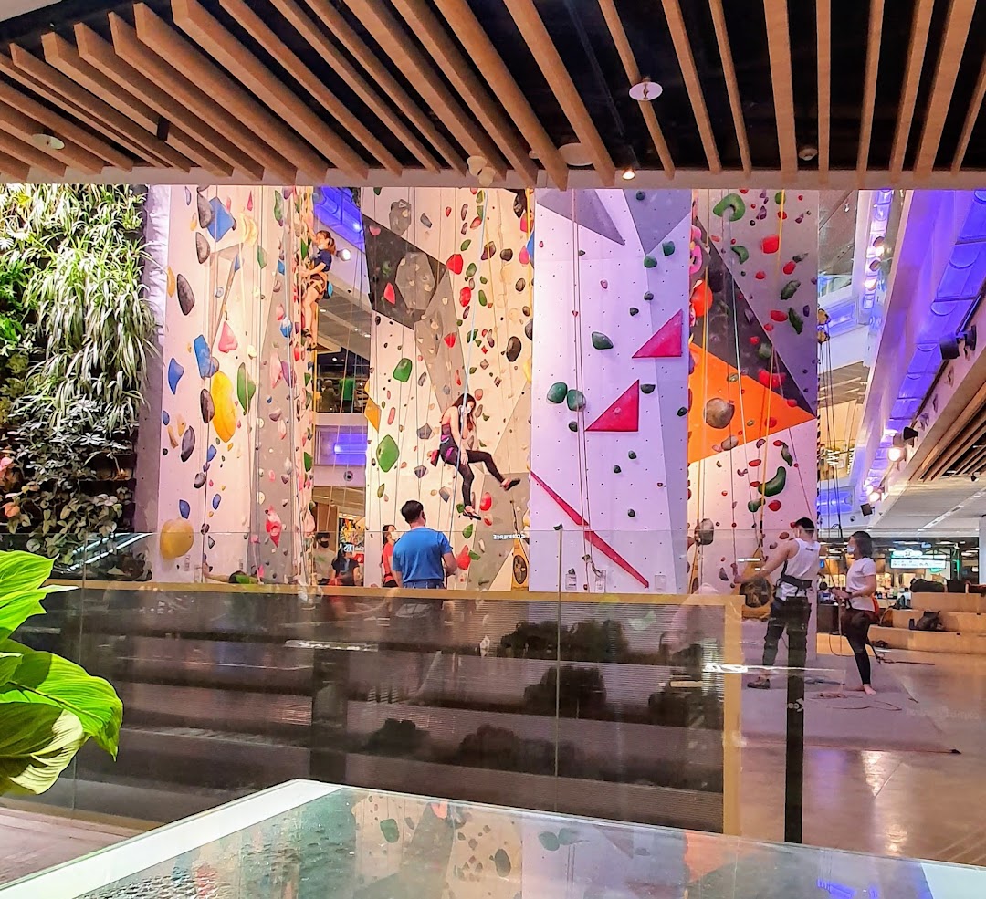 People are actively climbing on a vibrant indoor rock climbing wall at Climb Central Funan.