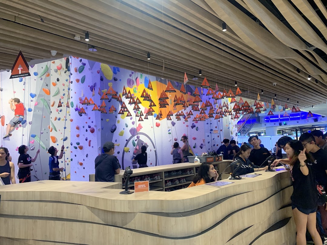Vibrant indoor climbing gym with climbers on colorful walls and a busy reception area.
