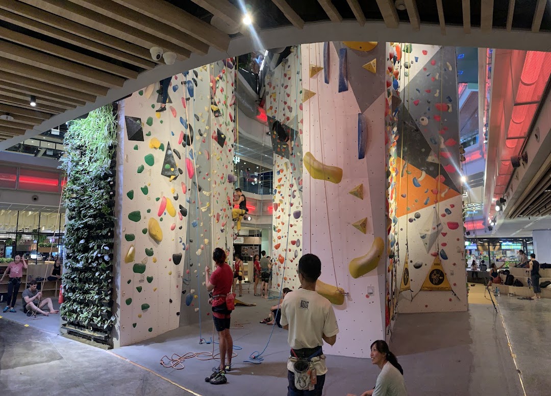 People engaged in indoor rock climbing on various colorful walls at Climb Central Funan.