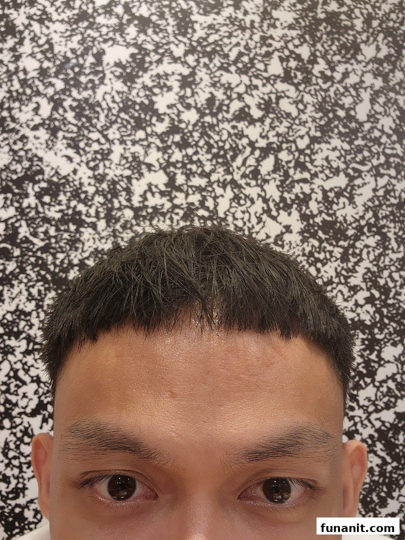 Close-up of a person's head showcasing a fresh haircut with a short fringe.