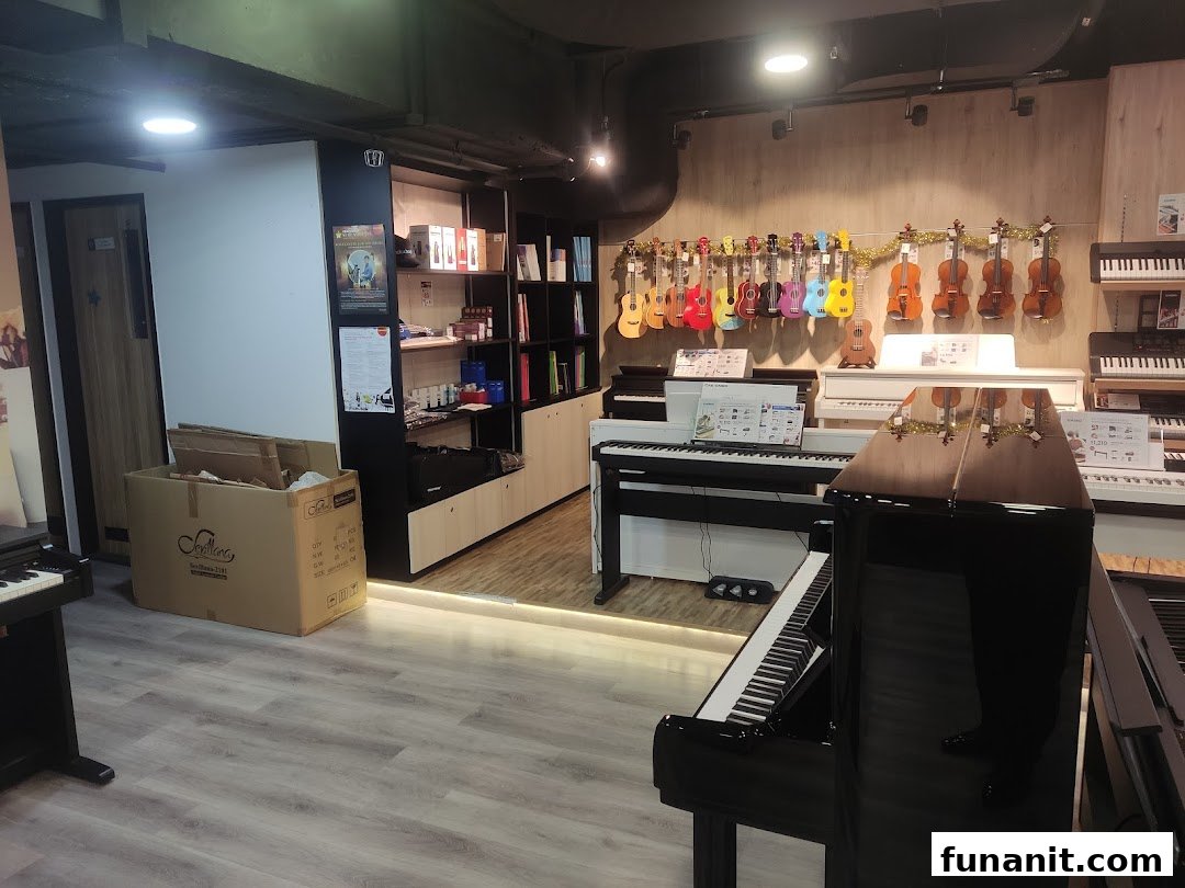 Interior view of Cristofori Music shop displaying pianos, ukuleles, and violins.