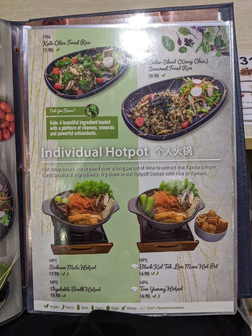 A vibrant menu page showcasing healthy fried rice options and a variety of individual hotpots.