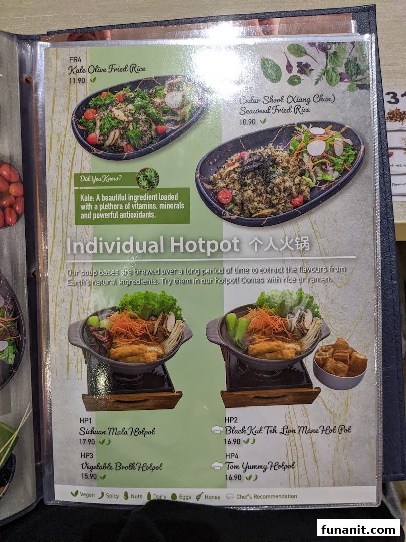A vibrant menu page showcasing healthy fried rice options and a variety of individual hotpots.