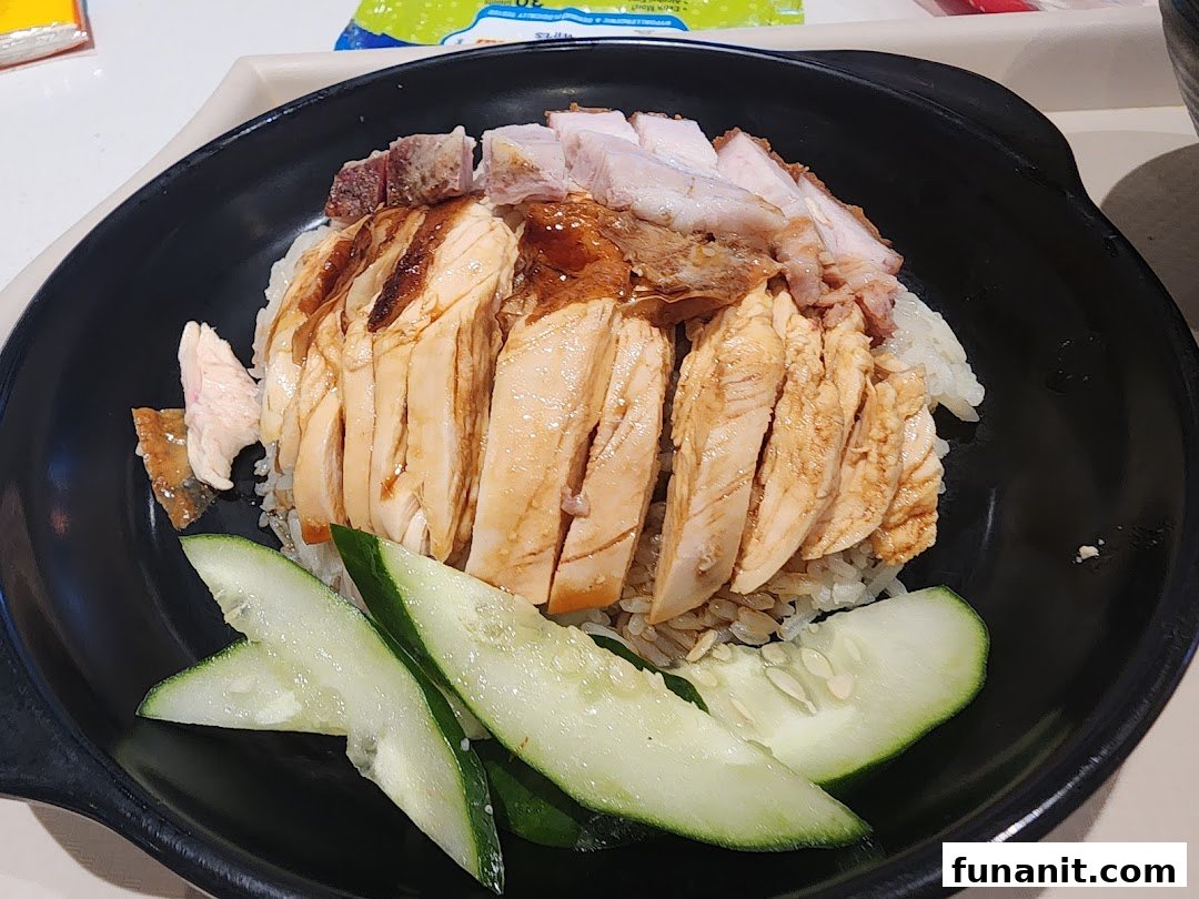 A delicious bowl of roasted chicken and pork with rice and cucumber slices.