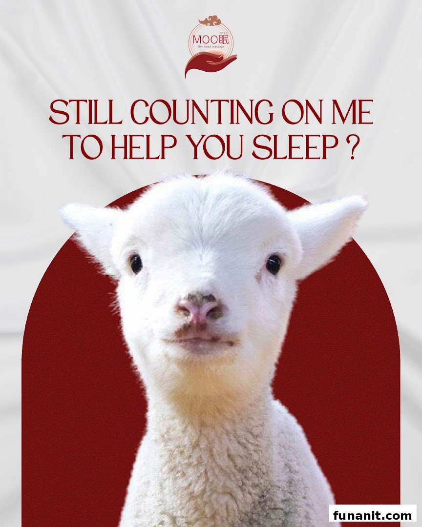 A promotional image featuring a lamb and text about sleep, promoting Moomin Dry Head Massage.