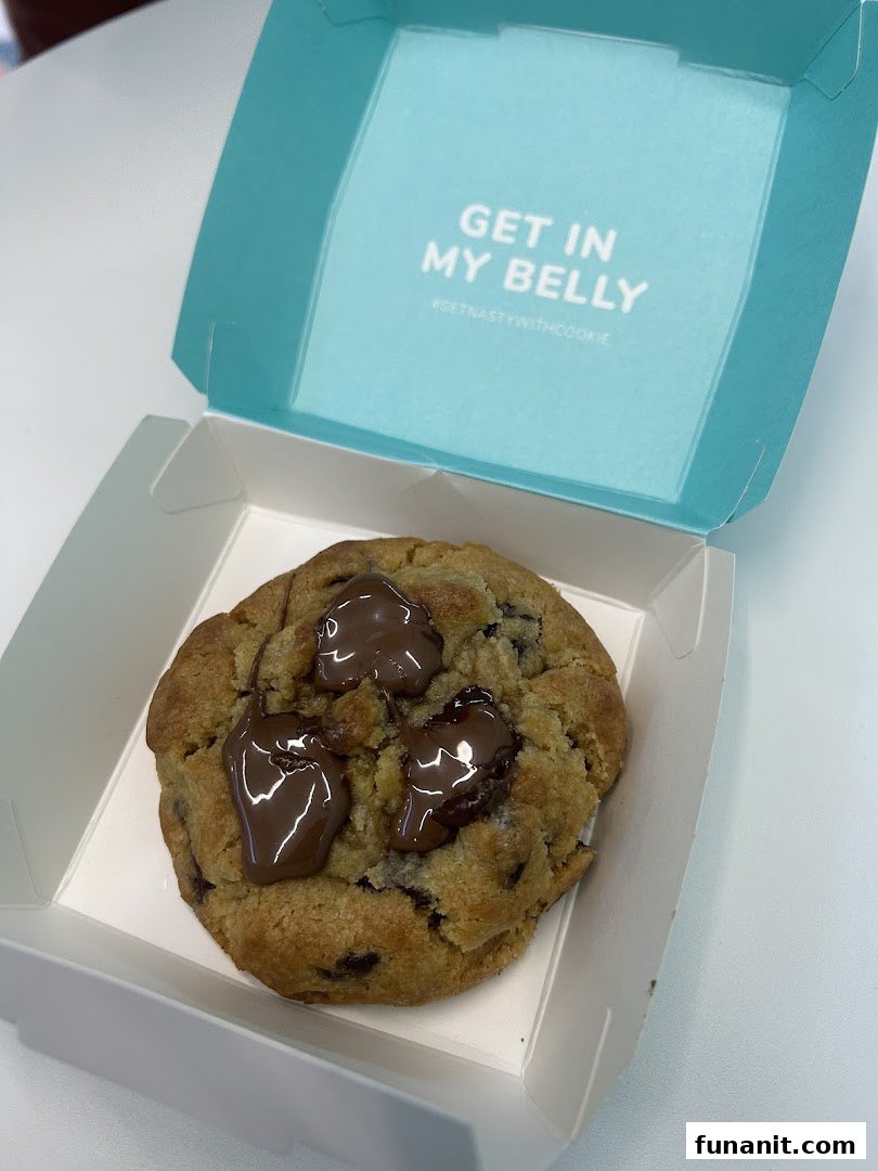 A delicious chocolate chip cookie with melted chocolate in a Nasty Cookie box.