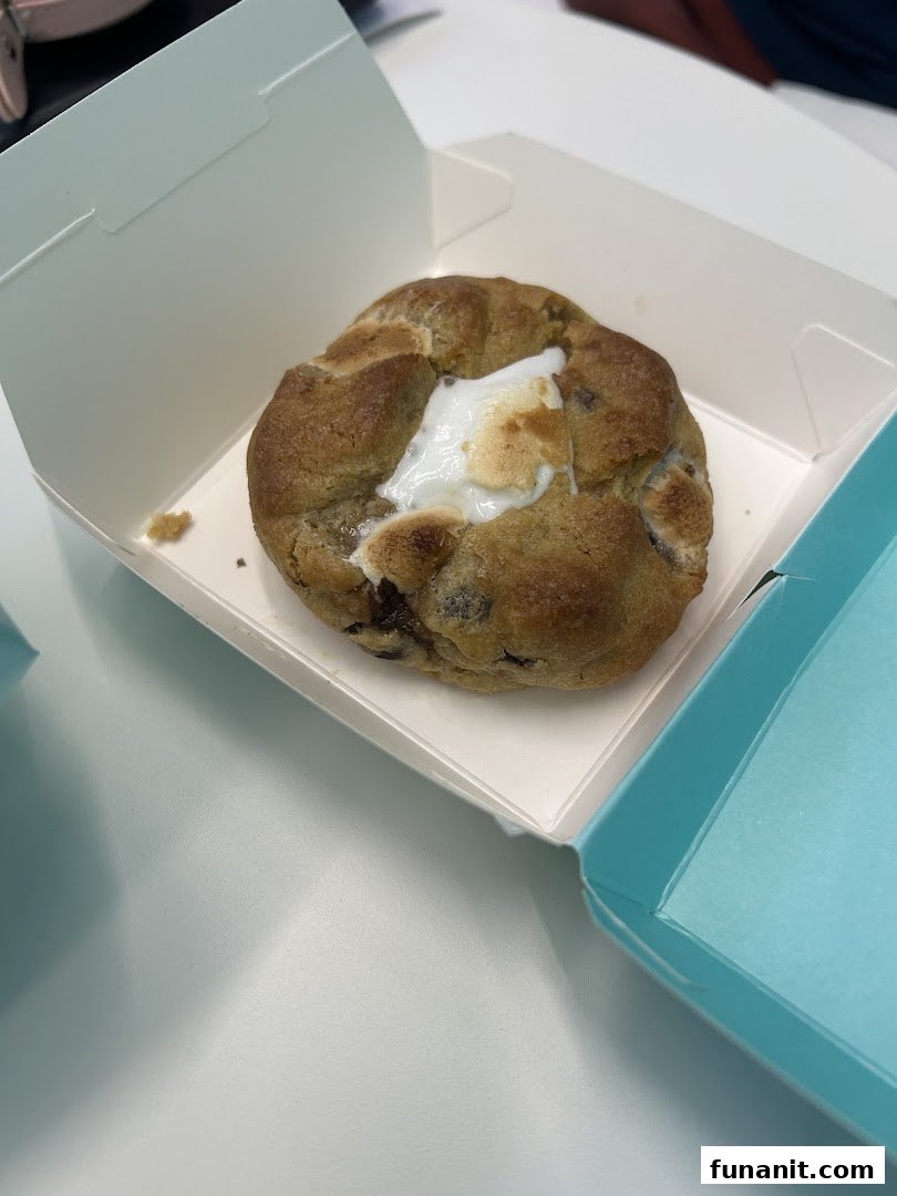 A large, delicious cookie with melted marshmallow and chocolate chips in a white box.