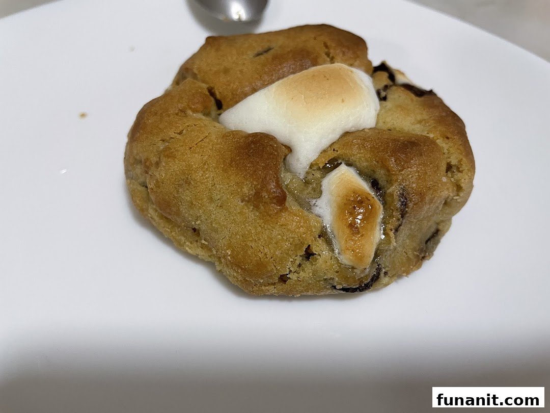 A close-up of a delicious Nasty Cookie, featuring a golden-brown cookie with melted marshmallows.