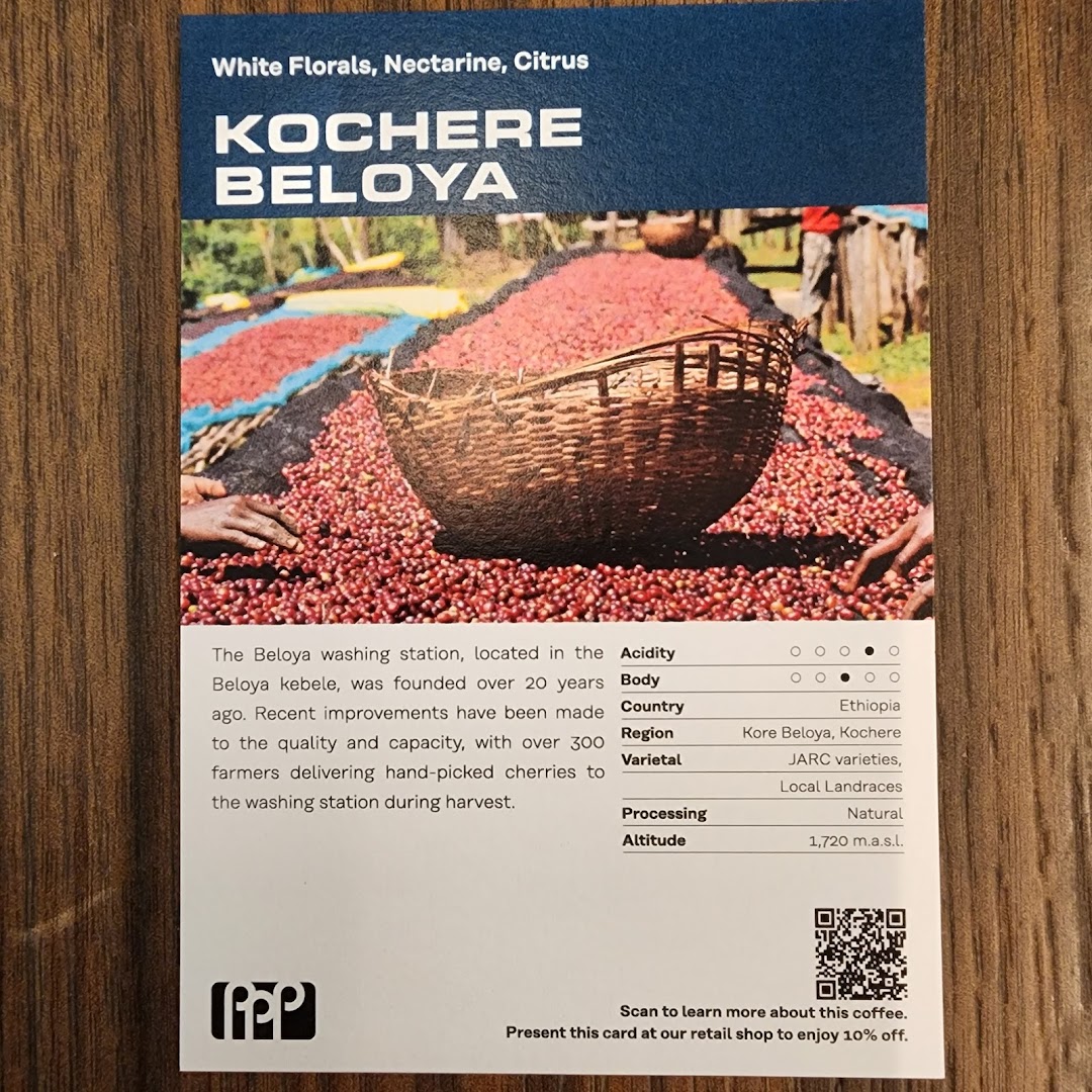 A detailed information card for Kochere Beloya coffee, highlighting its origin, flavor notes, and processing.