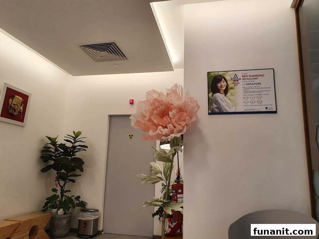 A modern dental clinic interior featuring a large paper flower, plants, and an Invisalign provider poster.