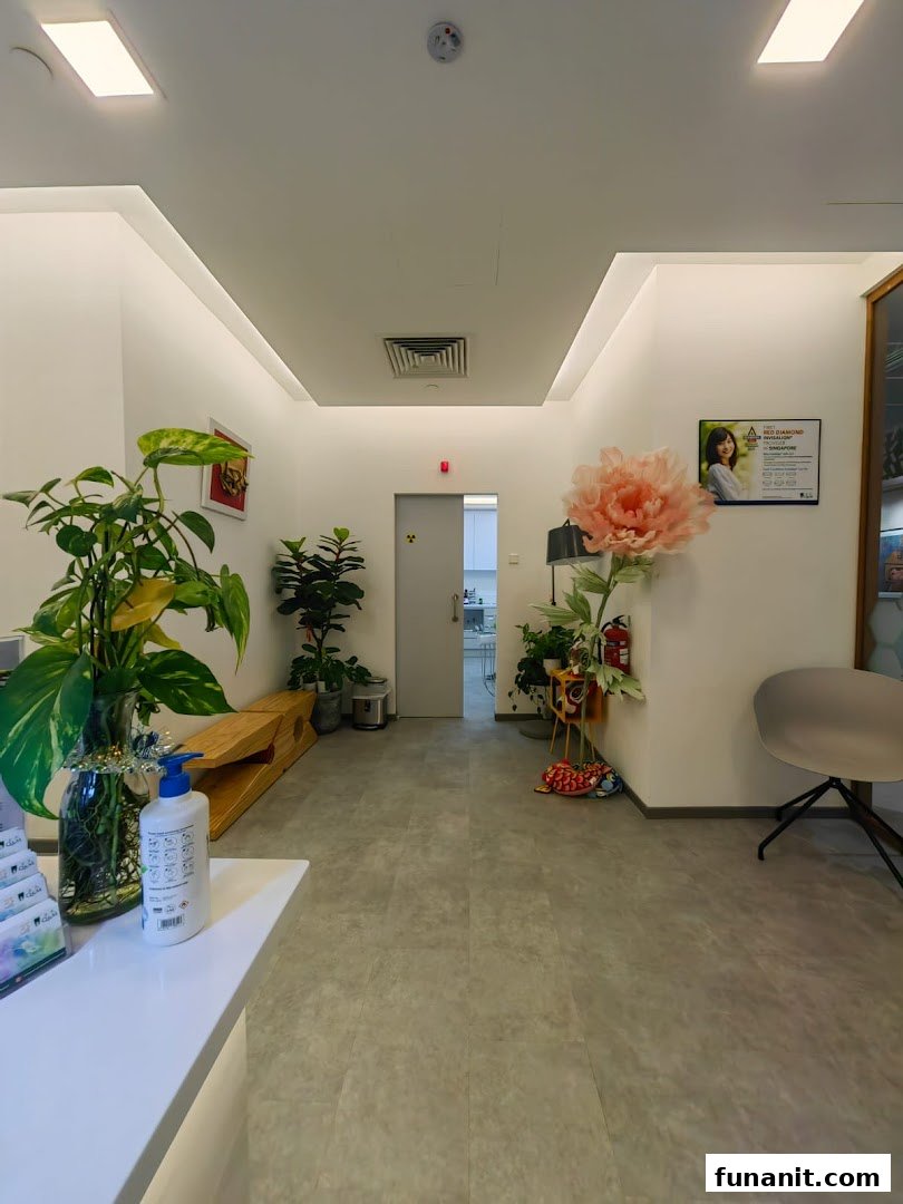 A bright, modern interior hallway of a dental center with plants and a large decorative flower.