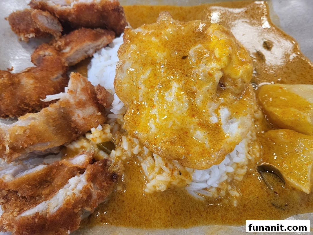 A close-up of delicious curry rice with crispy fried chicken cutlets and a sunny-side-up egg.