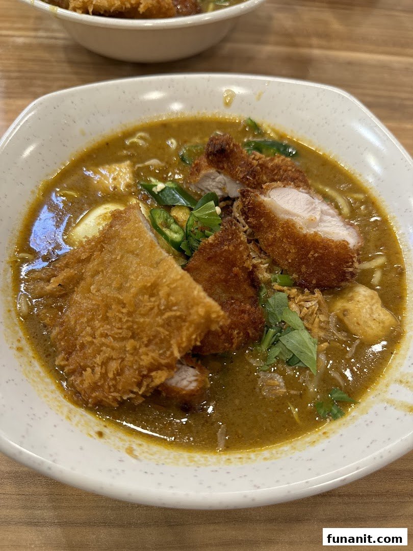 A close-up of a delicious bowl of curry noodles topped with crispy fried chicken cutlets and fresh herbs.