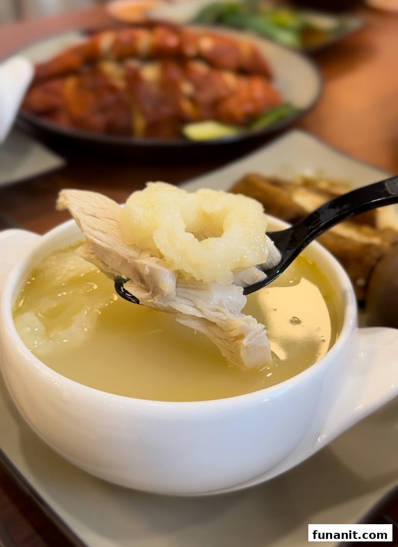 A spoon lifts tender chicken and a unique ingredient from a bowl of clear soup.