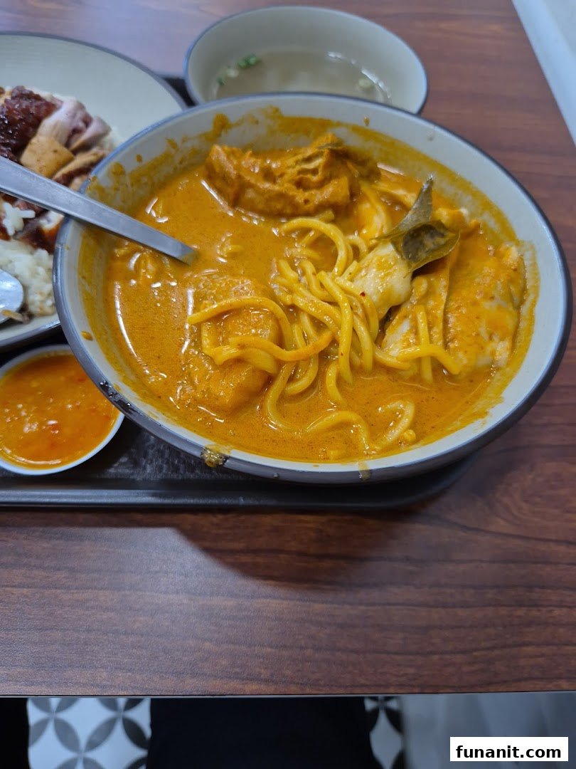 A vibrant bowl of curry noodles with a side of roasted meat and rice.