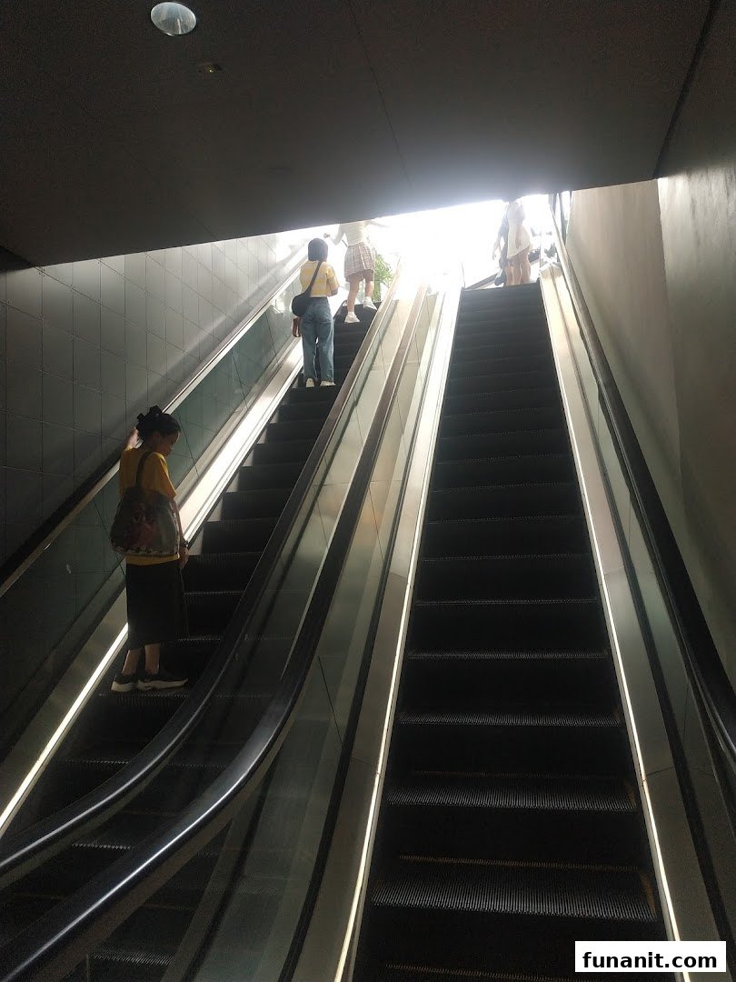 People ascend escalators towards a bright light, indicating movement within a modern building.